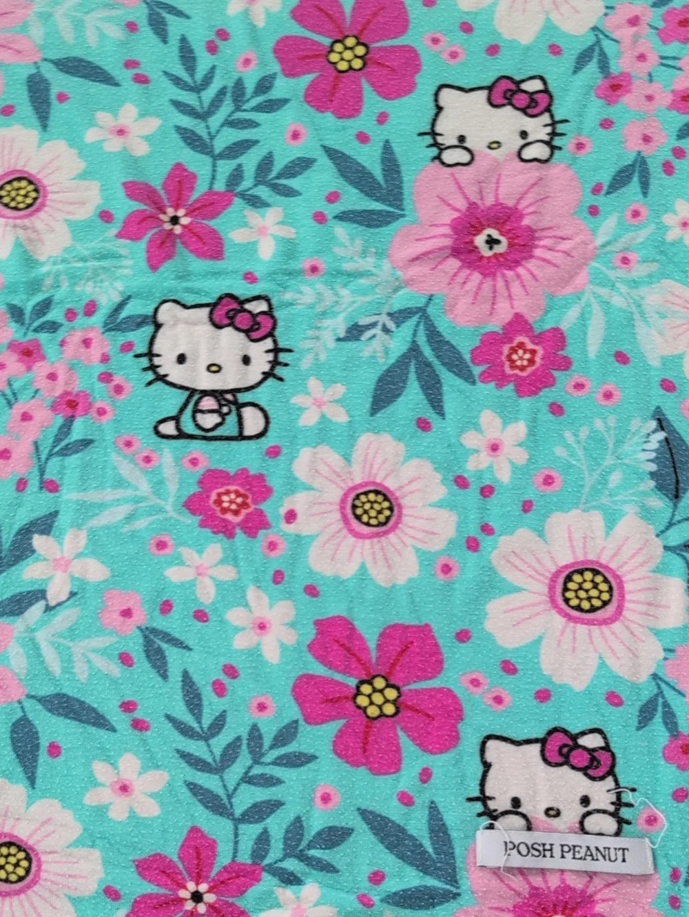 POSH PEANUT REVERSIBLE PATOO Hello Kitty Aqua Floral Blanket with Pink Stripe